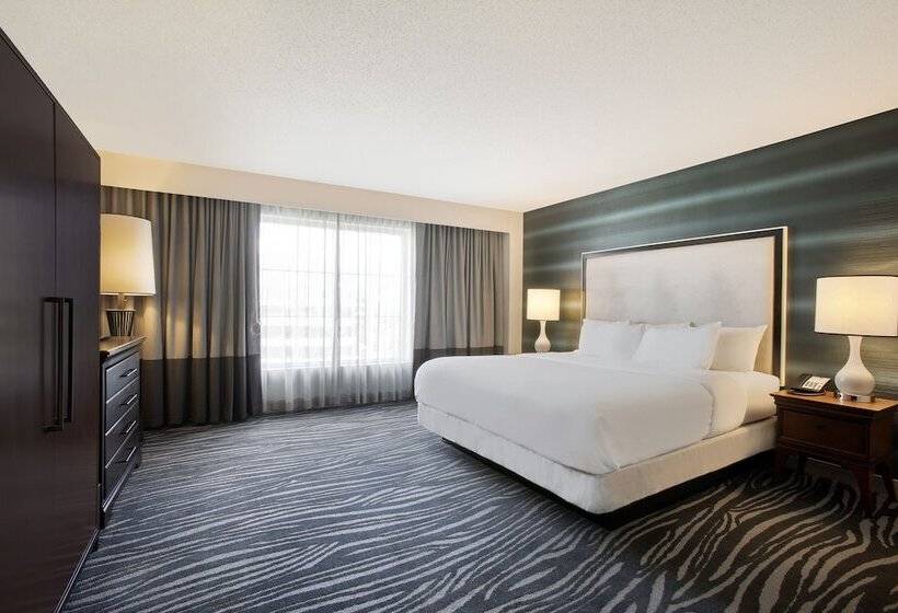 سوییت, Embassy Suites By Hilton Orlando Airport