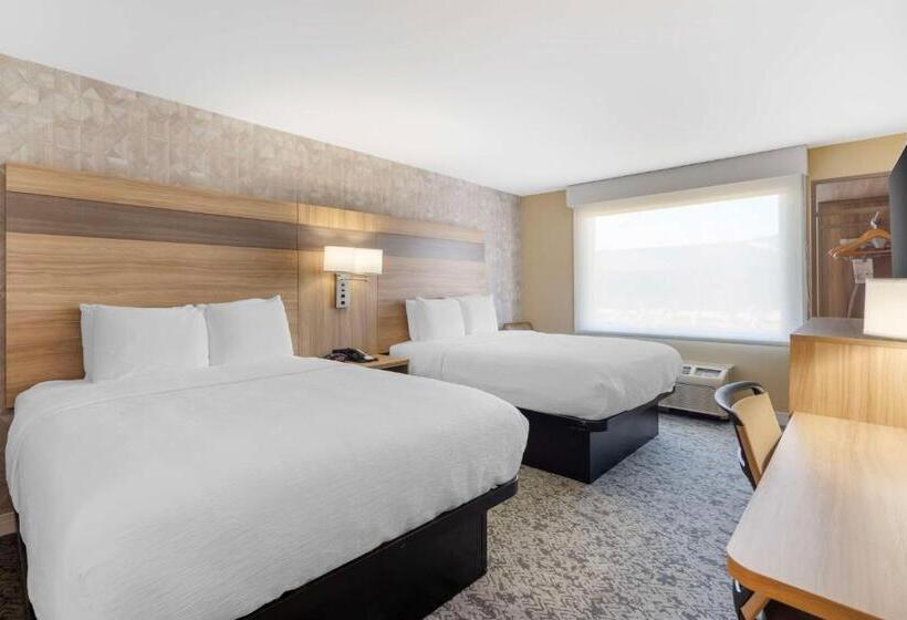 اتاق استاندارد, Best Western Glenview   Chicagoland Inn And Suites