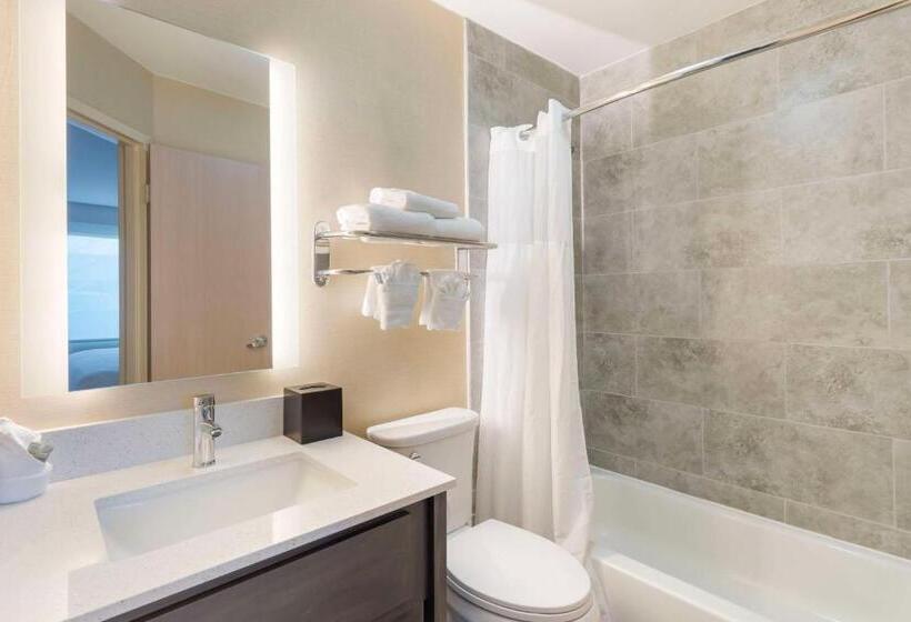سوئیت با تخت بزرگ, Best Western Glenview   Chicagoland Inn And Suites