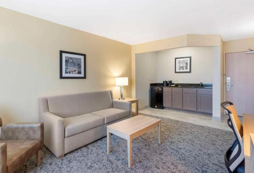سوئیت با تخت بزرگ, Best Western Glenview   Chicagoland Inn And Suites