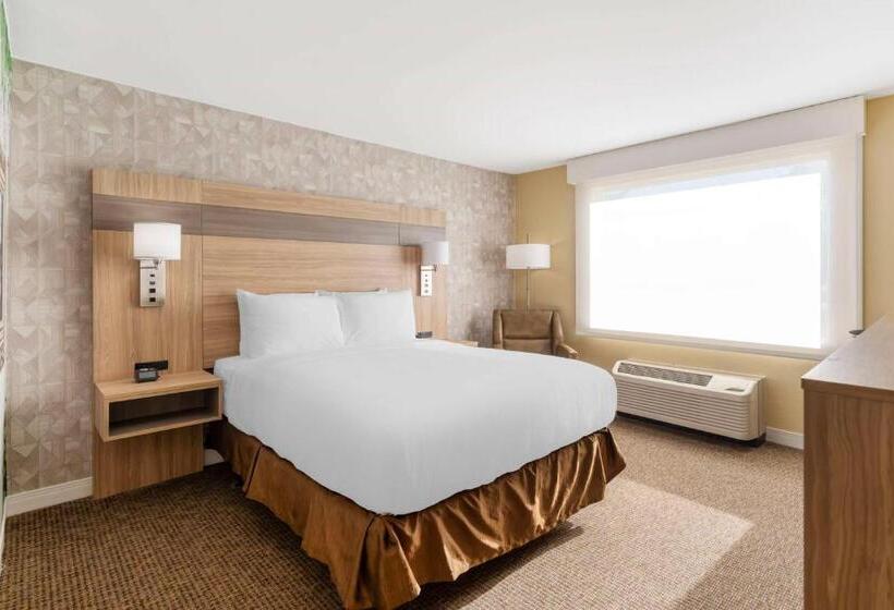 اتاق استاندارد برای معلولان, Best Western Glenview   Chicagoland Inn And Suites