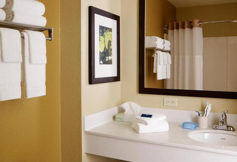 استودیو استاندارد با تخت کینگ, Sonesta Simply Suites Lafayette Airport