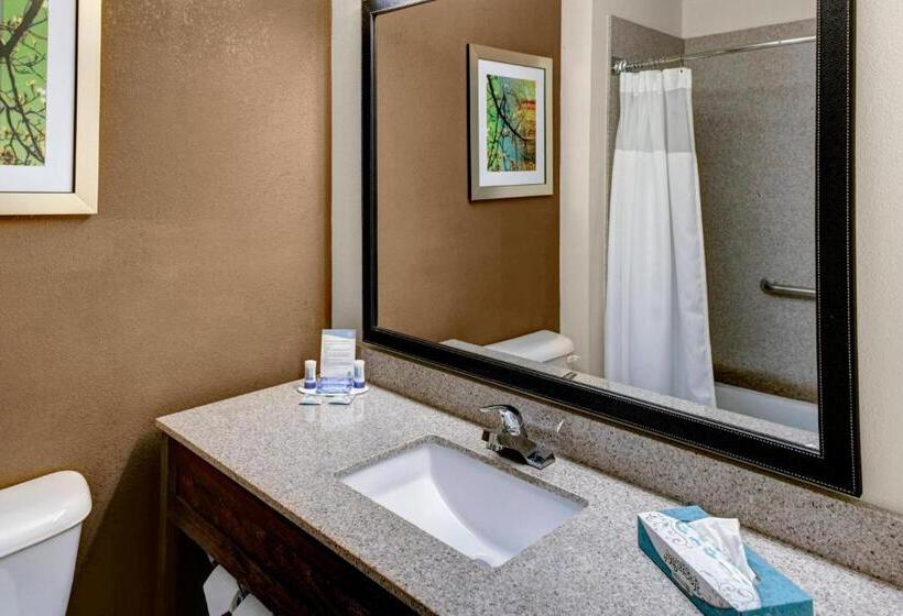 اتاق استاندارد با تخت بزرگ, Fairfield Inn By Marriott Dothan