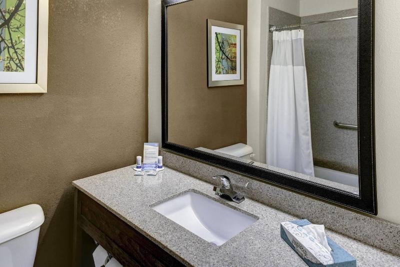 اتاق استاندارد با تخت بزرگ, Fairfield Inn By Marriott Dothan