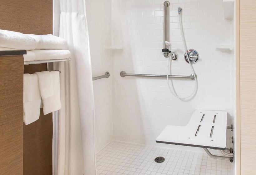 اتاق استاندارد با تخت بزرگ, Fairfield Inn & Suites Sioux Falls