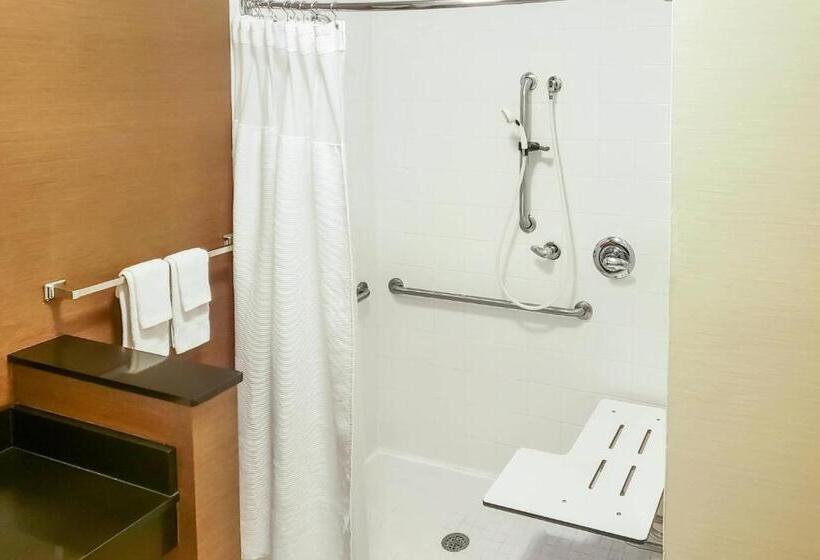 Habitación Estándar Cama King Adaptada para personas con movilidad reducida, Fairfield Inn & Suites Waco South