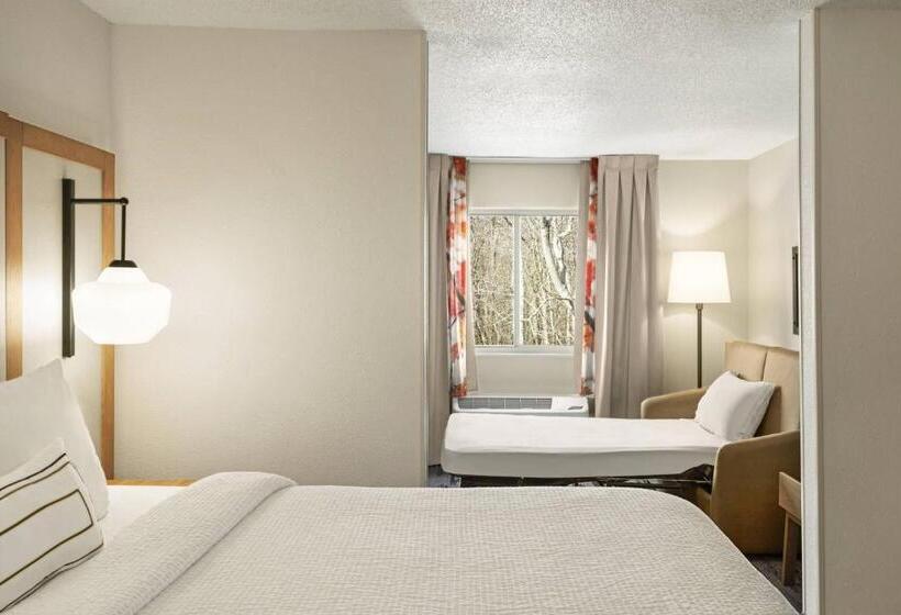 キングサイズベッドのデラックスルーム, Fairfield Inn Warren Niles