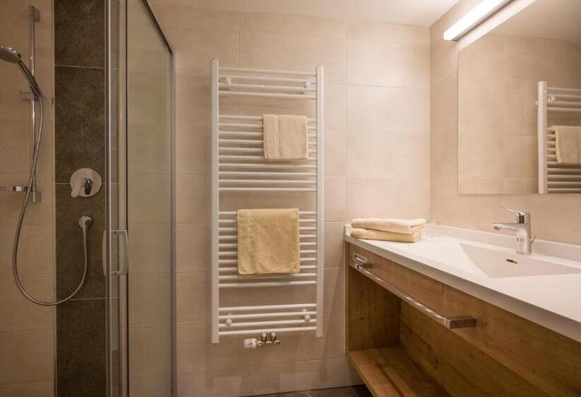 آپارتمان 1 خوابه با تراس, Hottererhof