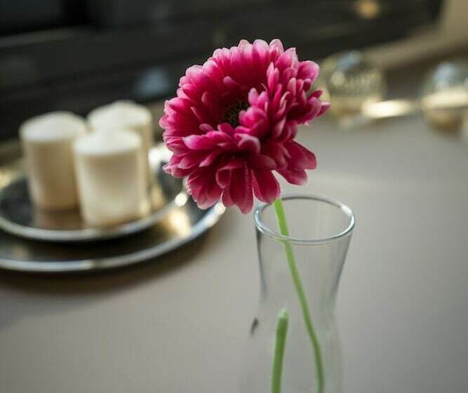 اتاق استاندارد, Urban Nest   Suites & Apartments