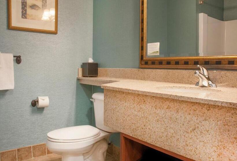 اتاق استاندارد با تخت بزرگ, Grand Beach Resort