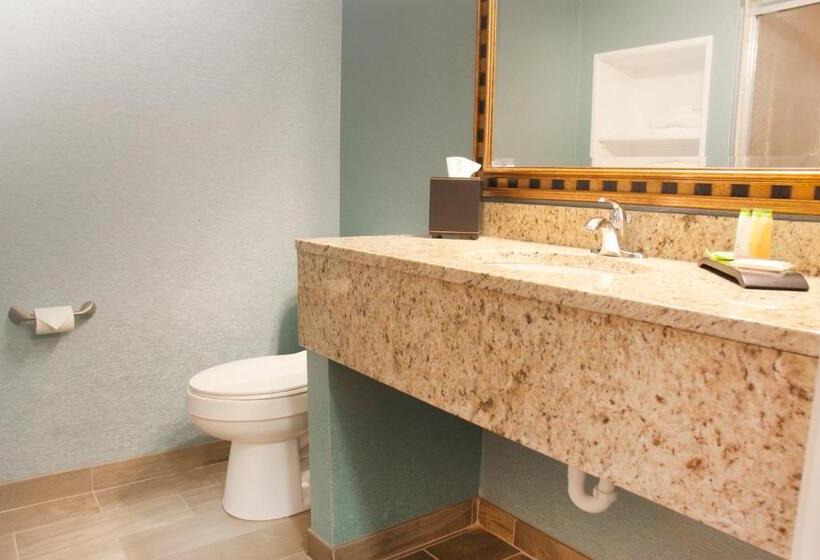اتاق دلوکس با تخت کینگ و چشم‌انداز, Grand Beach Resort