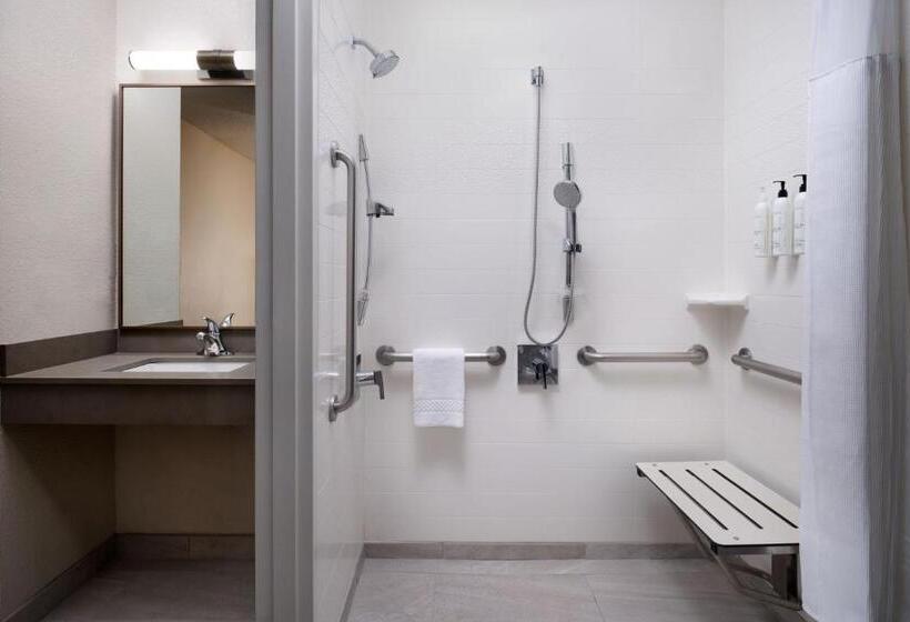 اتاق استاندارد با تخت بزرگ, Fairfield Inn And Suites Austin South