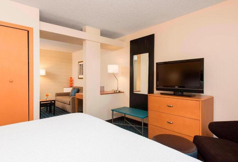 سوئیت با تخت بزرگ, Fairfield Inn & Suites By Marriott Bloomington