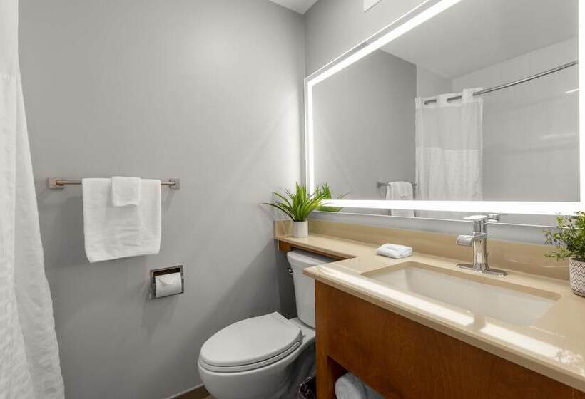 اتاق لوکس, Good Nite Inn Redwood City   San Francisco Airport