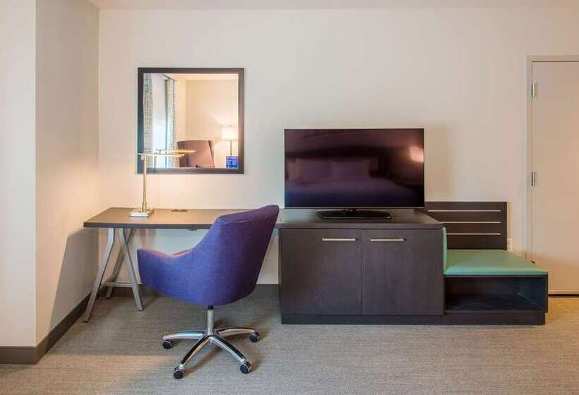 اتاق استاندارد با تخت بزرگ برای معلولان, Tru By Hilton Austin Airport, Tx