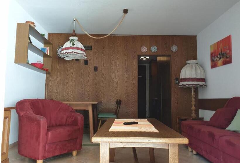 استودیوی استاندارد, Haus Anderl