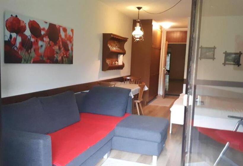 آپارتمان 1 خوابه, Haus Anderl