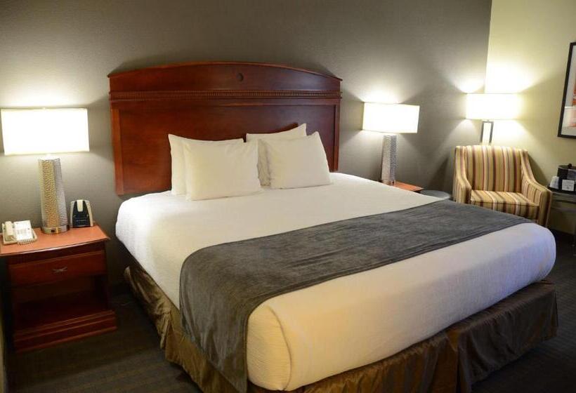 带大床的标准间, Best Western Delta Inn