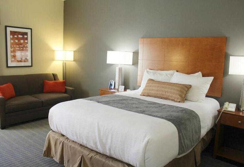 适合残疾人使用的标准间, Best Western Delta Inn