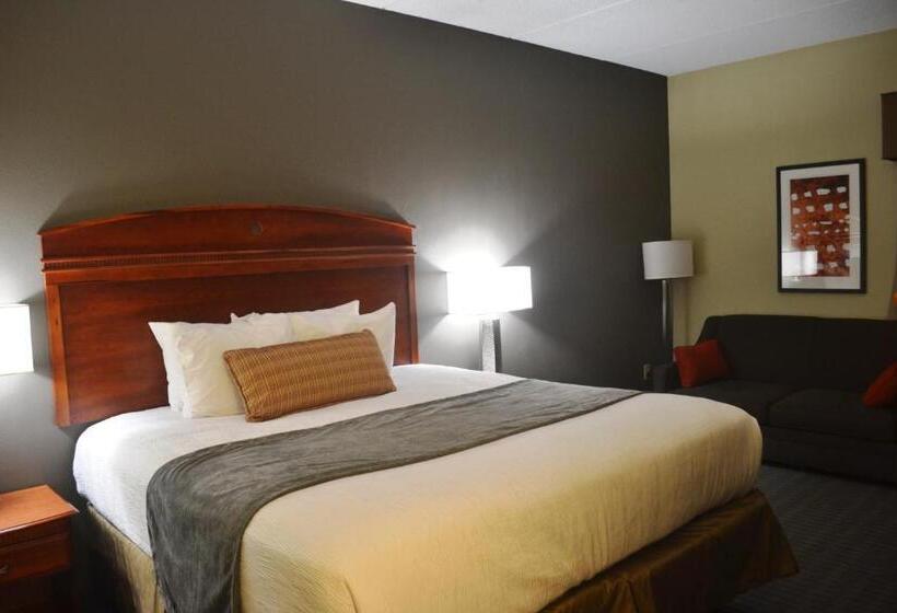 适合残疾人使用的标准间, Best Western Delta Inn