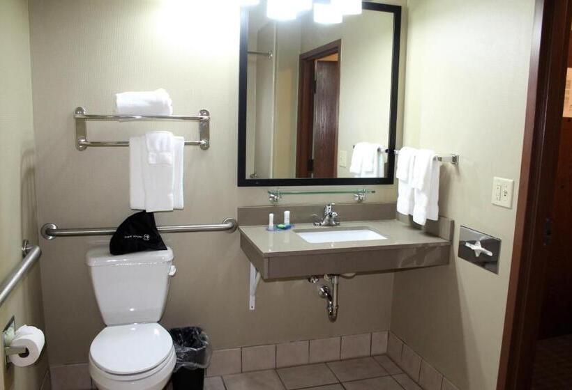 适合残疾人士使用的带超级大床的标准间, Best Western Delta Inn