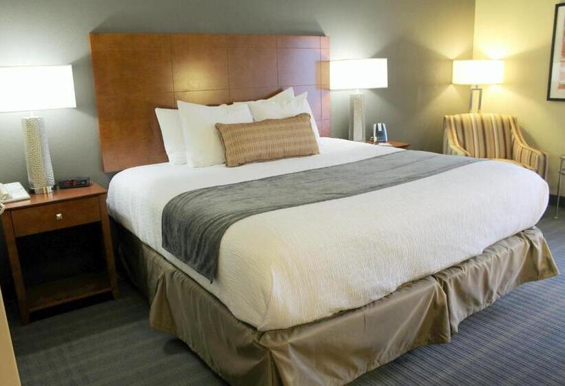 适合残疾人士使用的带超级大床的标准间, Best Western Delta Inn