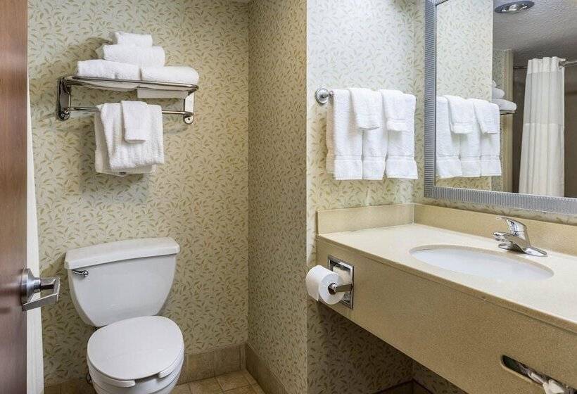 اتاق استاندارد با 2 تخت دوبل, Clarion Pointe Huntsville Research Park