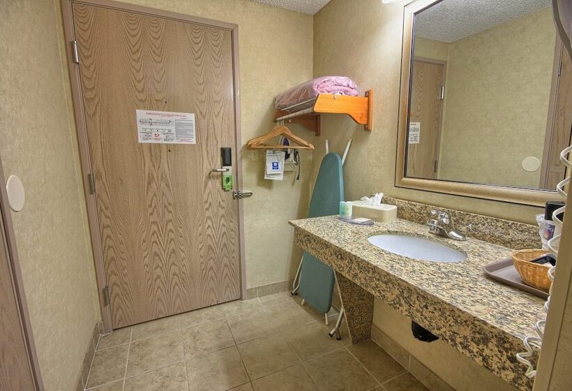 اتاق استاندارد با تخت دوبل برای معلولان, Comfort Inn Near Greenfield Village