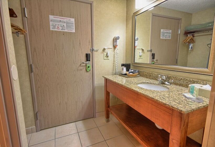 اتاق استاندارد با تخت دوبل برای معلولان, Comfort Inn Near Greenfield Village