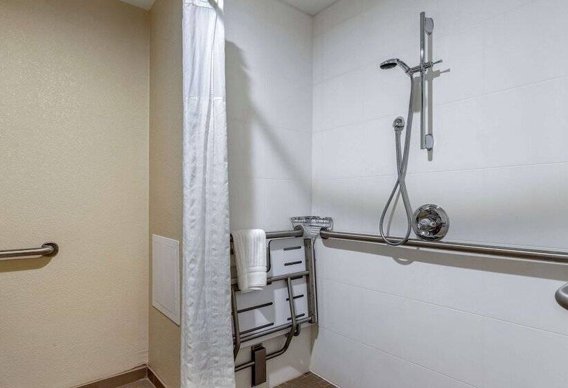 اتاق استاندارد با تخت دوبل برای معلولان, Comfort Inn Near Greenfield Village
