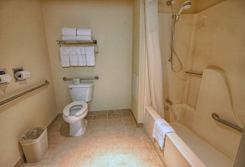 اتاق استاندارد با تخت دوبل برای معلولان, Comfort Inn Near Greenfield Village
