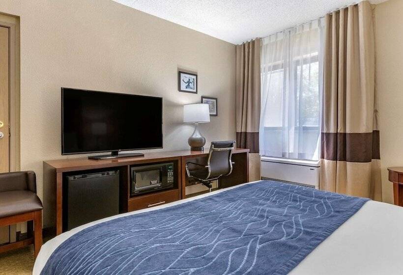 اتاق استاندارد با تخت دوبل برای معلولان, Comfort Inn Near Greenfield Village