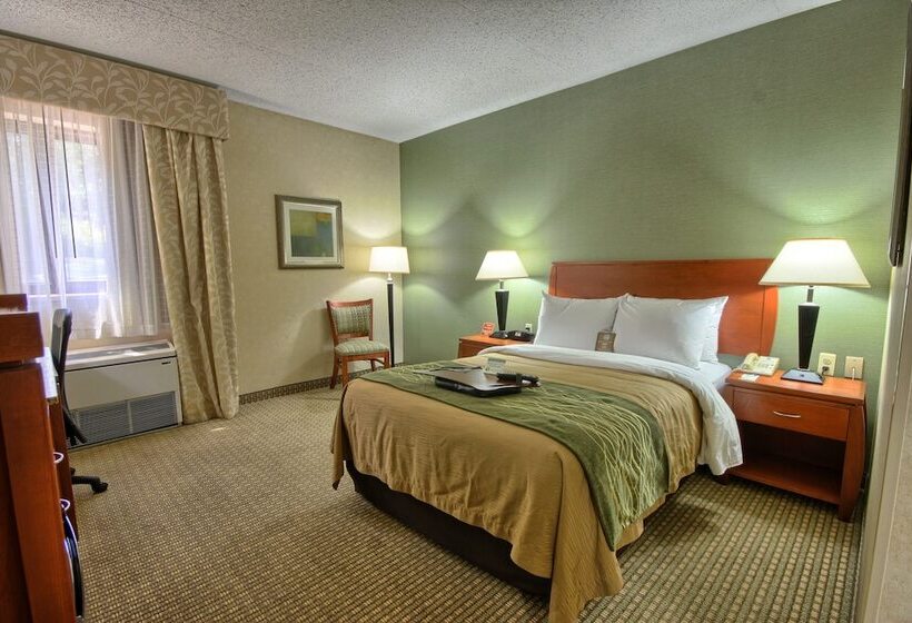 اتاق استاندارد با تخت دوبل برای معلولان, Comfort Inn Near Greenfield Village