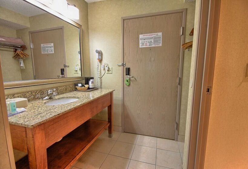 اتاق استاندارد با 2 تخت دوبل, Comfort Inn Near Greenfield Village