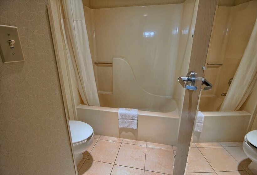 اتاق استاندارد با 2 تخت دوبل, Comfort Inn Near Greenfield Village