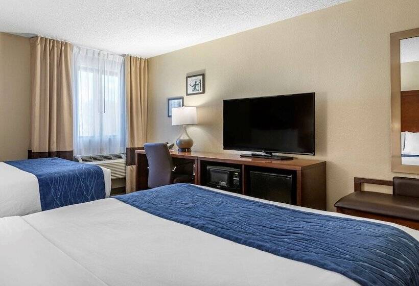 اتاق استاندارد با 2 تخت دوبل, Comfort Inn Near Greenfield Village
