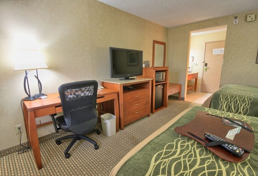 اتاق استاندارد با 2 تخت دوبل, Comfort Inn Near Greenfield Village