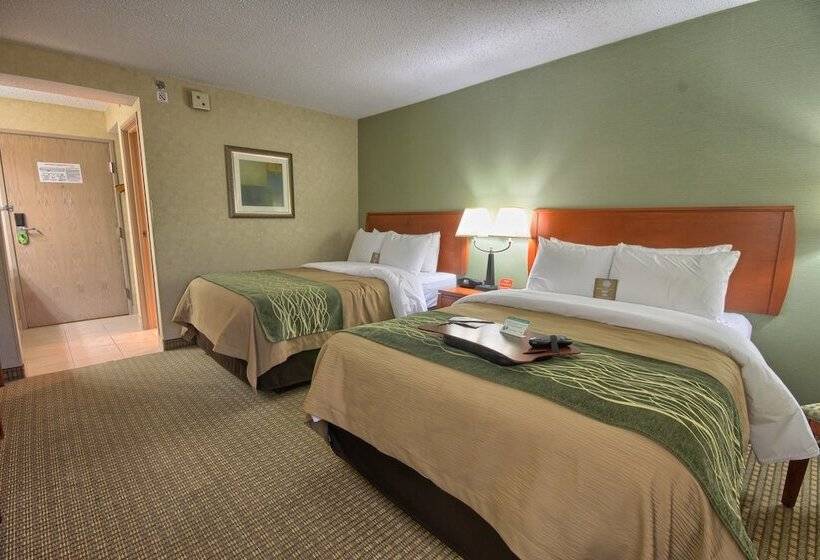 اتاق استاندارد با 2 تخت دوبل, Comfort Inn Near Greenfield Village