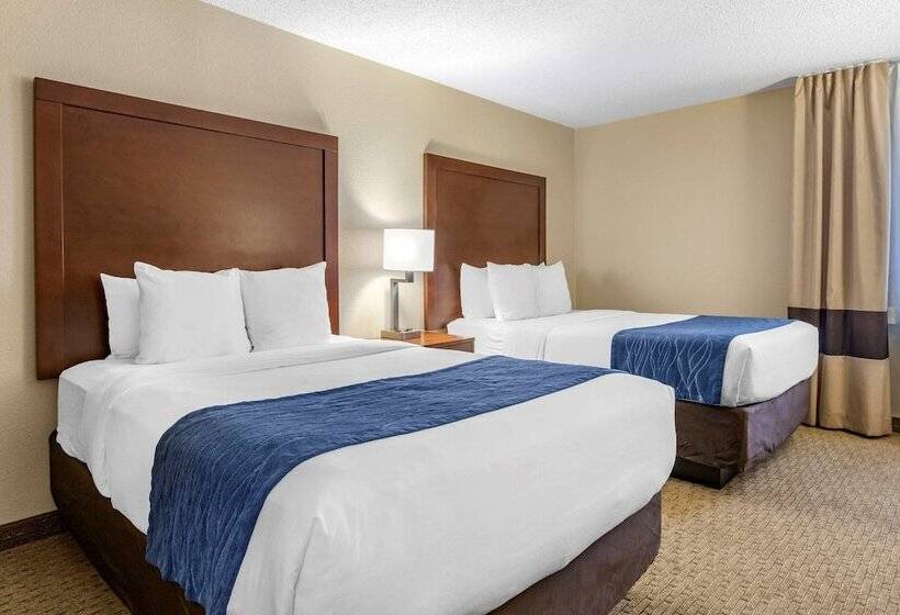 اتاق استاندارد با 2 تخت دوبل, Comfort Inn Near Greenfield Village