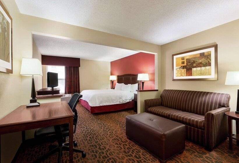 اتاق استاندارد با تخت دوبل, Hampton Inn Abilene
