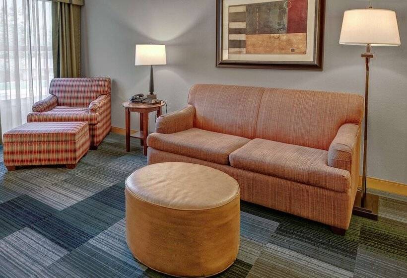 スイート, Hampton Inn & Suites Pigeon Forge On The Parkway
