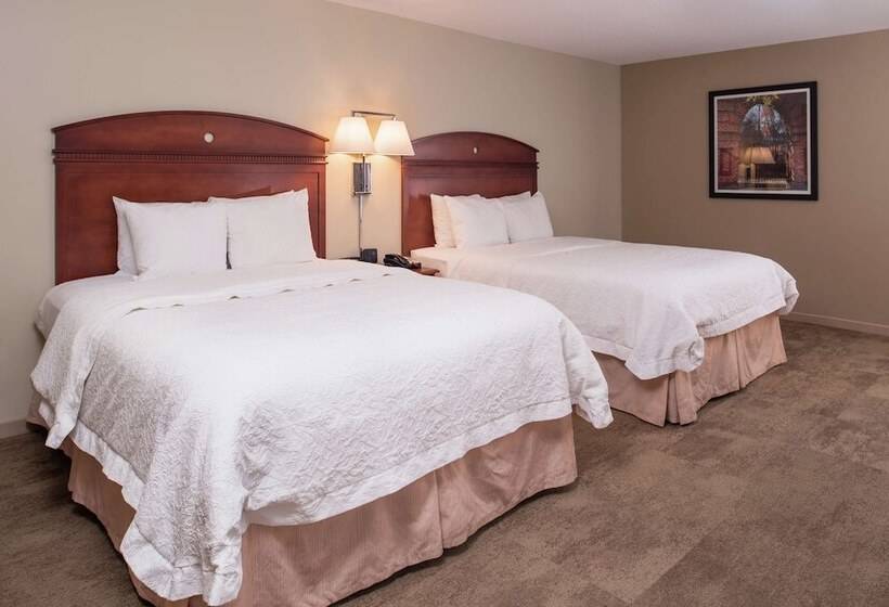 اتاق استاندارد با 2 تخت دوبل, Hampton Inn Columbia Northeastfort Jackson Area