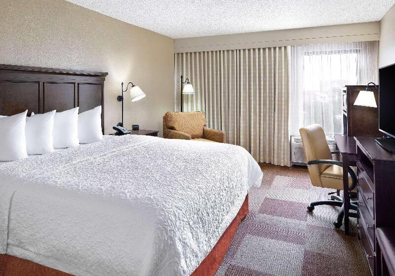 اتاق استاندارد با تخت بزرگ, Hampton Inn Dallasirvinglas Colinas