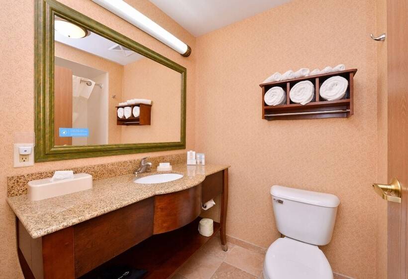 اتاق استاندارد با 2 تخت دوبل, Hampton Inn Elkhart In