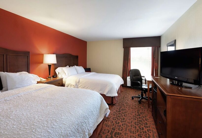 اتاق استاندارد با 2 تخت دوبل, Hampton Inn Houma