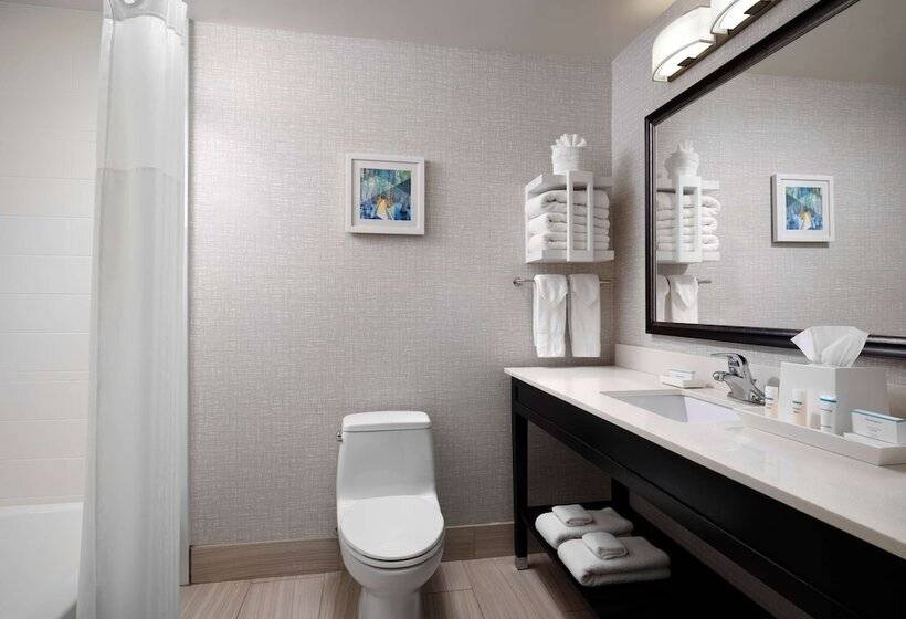 اتاق استاندارد با 2 تخت دوبل, Hampton Inn Jackson/clinton