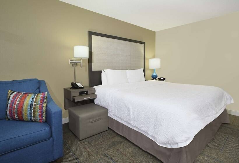 اتاق استاندارد با تخت دوبل برای معلولان, Hampton Inn Madison