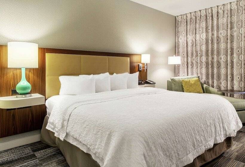 اتاق استاندارد با تخت دوبل برای معلولان, Hampton Inn Minneapolis/st. Paulwoodbury