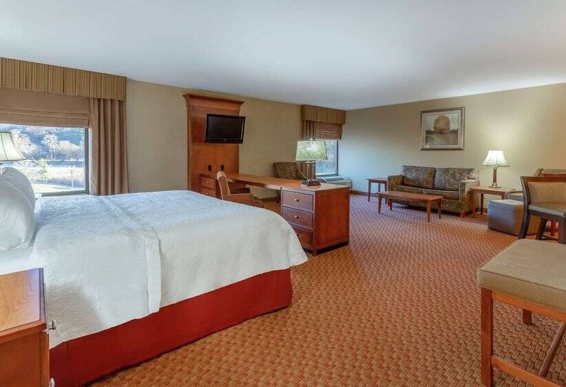 스위트, Hampton Inn Peoriaeast At The River Boat Crossing