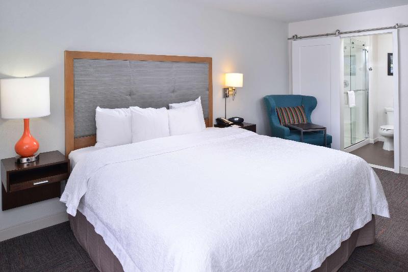 اتاق استاندارد با تخت بزرگ, Hampton Inn Portland East